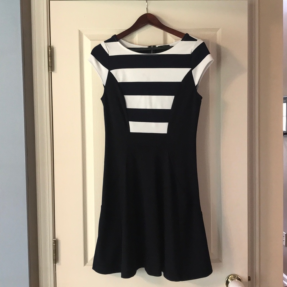 The Limited Navy & White Dress